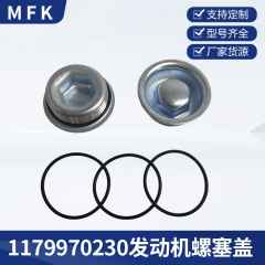 A1179970230發(fā)動(dòng)機曲軸箱螺紋塞汽車(chē)防塵蓋